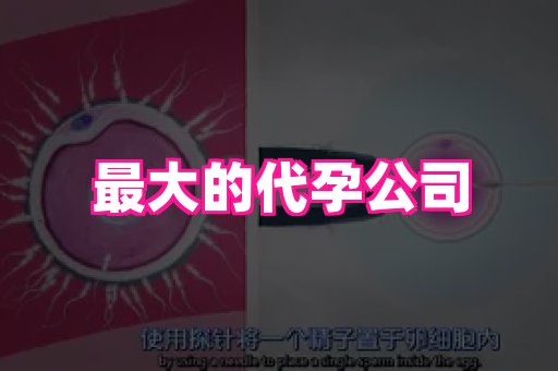 长沙助孕网站 1