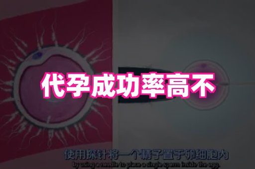 长沙助孕网站 2